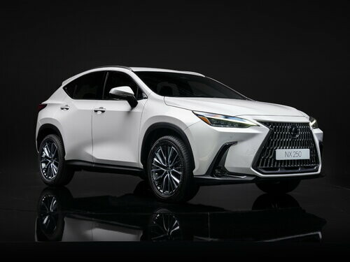 Коврики текстильные "Комфорт" для Lexus NX 250 II (suv / SUV) 2021 - Н.В., ые, 5шт.